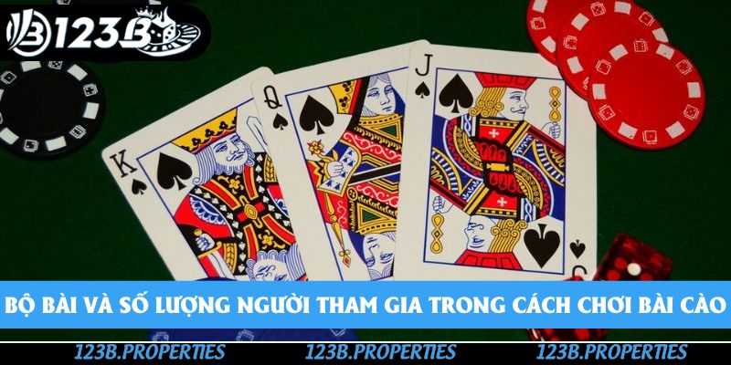 Bộ bài và số lượng người tham gia trong cách chơi bài cào