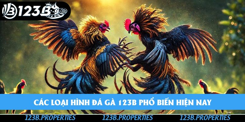 Các loại hình đá gà 123B phổ biến hiện nay