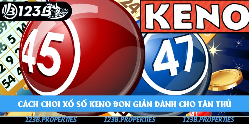 Cách chơi xổ số keno đơn giản dành cho tân thủ