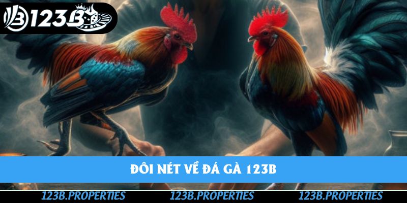 Đôi nét về đá gà 123B