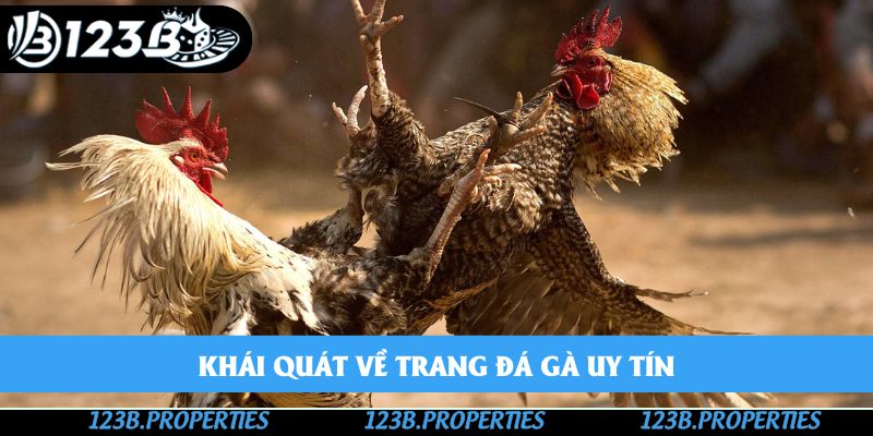 Khái quát về trang đá gà uy tín