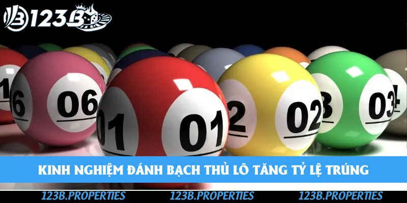 Kinh nghiệm đánh bạch thủ lô tăng tỷ lệ trúng