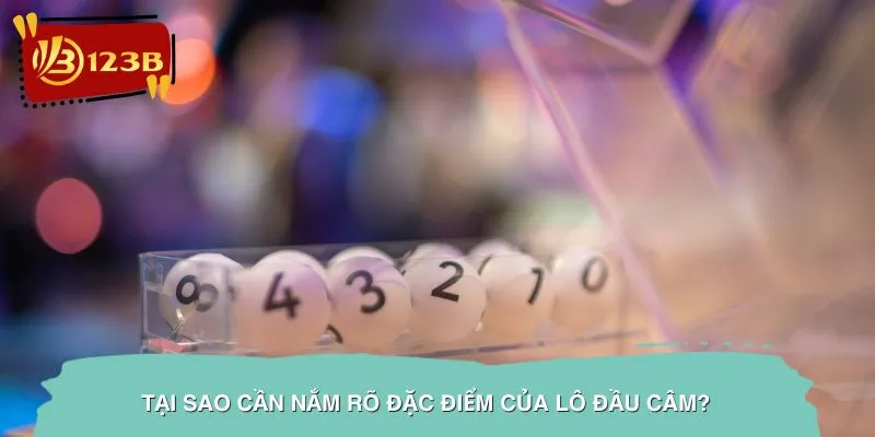 Tại Sao Cần Nắm Rõ Đặc Điểm Của Lô Đầu Câm?
