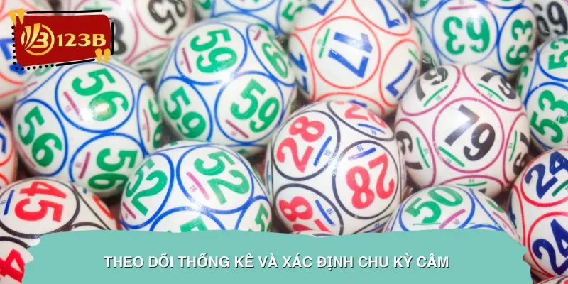 Theo Dõi Thống Kê và Xác Định Chu Kỳ Câm
