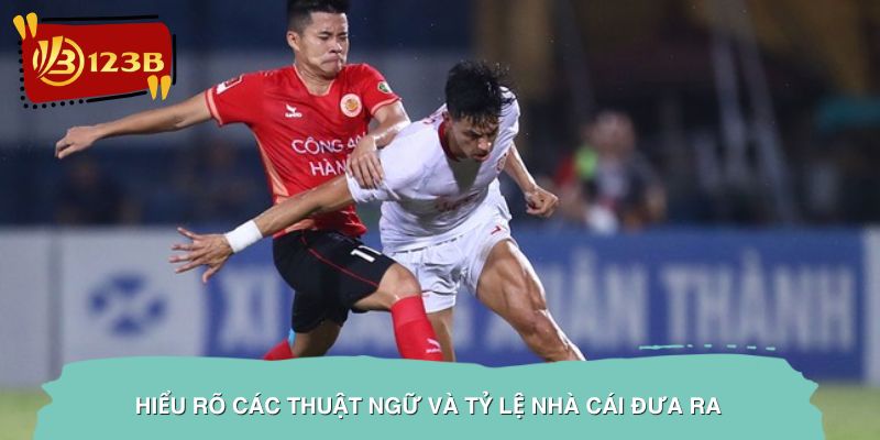 Hiểu rõ các thuật ngữ và tỷ lệ nhà cái đưa ra